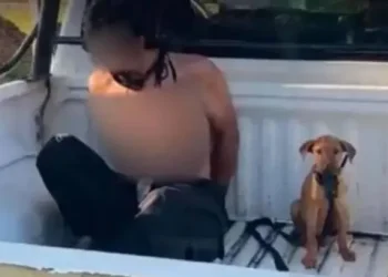 Alta fidelidad: lo detuvo la Policía y su perro lo acompañó en el patrullero