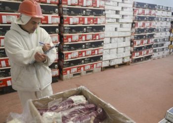 Argentina exportará carne bovina a México