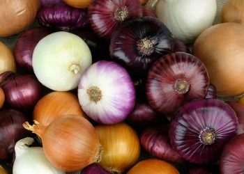 Inflación: En un año, el precio de la cebolla aumentó casi 600%