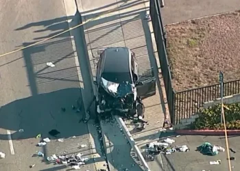 Estados Unidos: un hombre atropelló a 25 cadetes de Policía