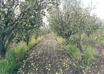 Uno de los fundadores  de la Sociedad Rural local criticó la falta de políticas de Estado para reactivar el agro