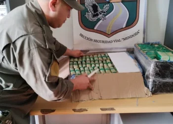 Gendarmería incautó más de 54 kilos de hojas de coca