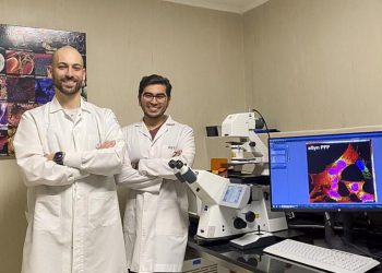 Investigadores del Conicet descubrieron una molécula que podría combatir el Parkinson
