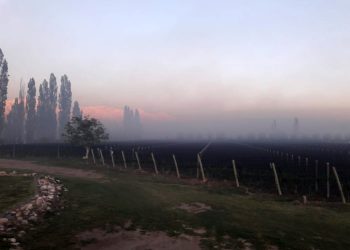 La drástica decisión que tomó San Martín por las heladas tardías