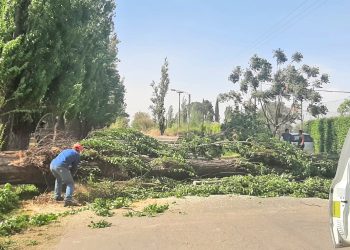 Los distritos también fueron afectados por  las fuertes ráfagas de viento del fin de semana