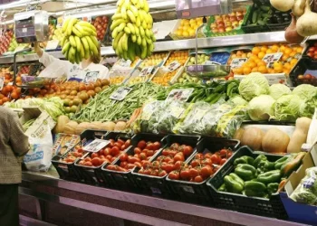 El precio de los alimentos: el mes pasado, los consumidores pagaron $3,7 por cada $1 que recibieron los productores