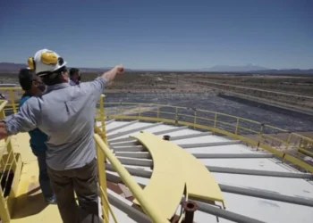 Potasio Río Colorado analiza posibles inversores y pone a disposición los informes ambientales