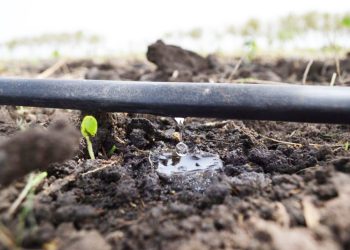 Se desarrolló un encuentro entre la Iaccarini e Irrigación en el que se trató la “Educación de Riego”