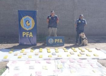 Secuestran 27.000 pastillas de éxtasis que era llevados por un policía bonaerense en Salta