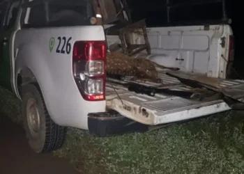 Corrientes: Un excomisario fue condenado por utilizar un patrullero para ir a cazar