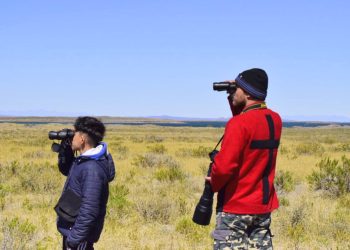 Observadores de aves  realizarán una jornada de avistaje en el Parque Yrigoyen