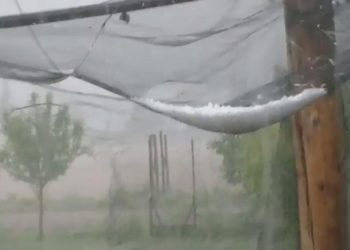 El clima no da tregua: fuerte granizada en fincas de Goudge