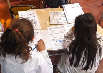 El Plan Estratégico de Alfabetización  de Mendoza fue aprobado por unanimidad en Senadores