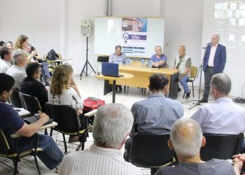 Trabajan en alternativas para la vuelta del ferrocarril al sur por las vías del San Martín y el Sarmiento