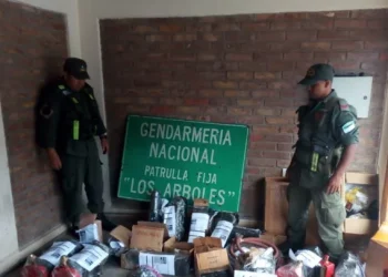 Punta de Vacas: Decomisan mercadería de contrabando valuada en seis millones de pesos