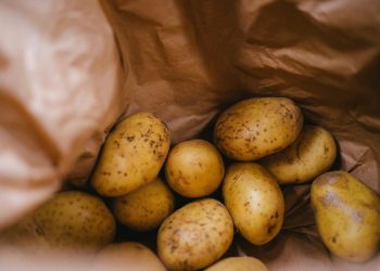 Comer papa, ¿podría ayudar a perder peso?
