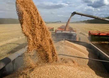 Estiman que por el clima se perderán US$ 3.300 millones en exportaciones agropecuarias