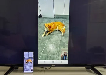 Android: 5 maneras de ver una videollamada en el televisor