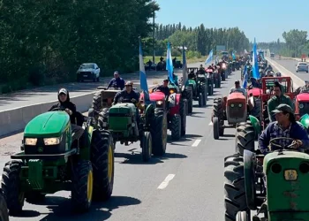 “Cada 4 días desaparece un productor”: en el Alto Valle hubo tractorazo y pedidos de un dólar especial