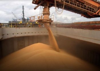 Consultoras advierten que no se llegaría al objetivo de liquidación de exportaciones por US$3000 millones