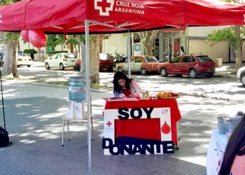 Gran crecimiento de la huerta comunitaria creada por Hilda Rodríguez