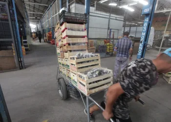 Desempleo en el Gran Mendoza: creció la cantidad de ocupados que demandan otro trabajo