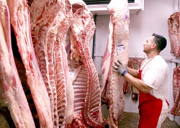 Realizan un balance del sector  exportador de carnes y dan a conocer las perspectivas para el 2023