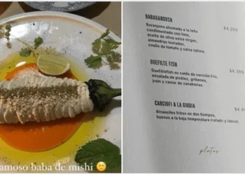 Fue a comer a un restaurante caro, le sacó una foto al insólito plato y la mataron en las redes: «Baba de mishi»