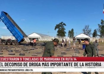 Hallan más de 9 toneladas de marihuana ocultas en un camión en Corrientes y detienen al conductor