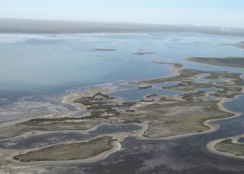 Crisis hídrica:  prácticamente ha desaparecido la laguna Las Salinas