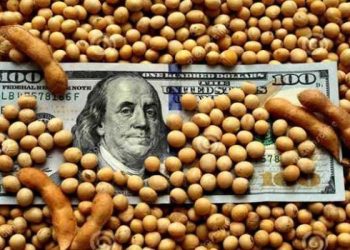 Los agroexportadores liquidaron US$ 3.654 millones desde la implementación del dólar soja