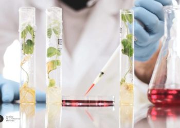 Moolec Science se transformó en el nuevo unicornio argentino­