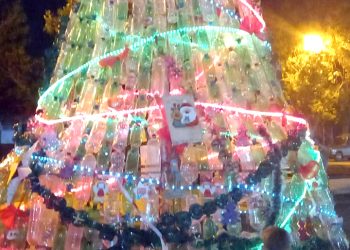 En Cañada Seca se armó el pino de Navidad con materiales reciclados