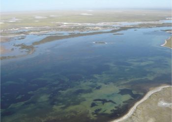Plantean que se debe dar un  “caudal ecológico” a la Laguna Las Salinas para evitar su desaparición