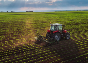 Por la sequía y la falta de oferta, la liquidación de divisas del agro cayó 17% en noviembre