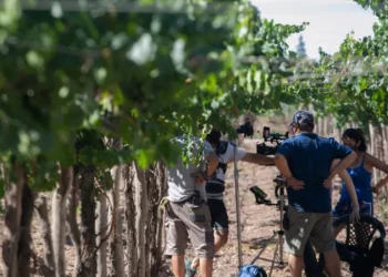 Proyectos audiovisuales: con $500 millones, la nueva ley fomenta inversiones con reintegros