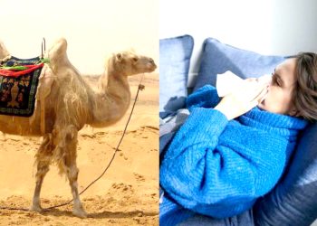 Gran crecimiento de la huerta comunitaria creada por Hilda Rodríguez