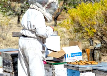 Gran crecimiento de la huerta comunitaria creada por Hilda Rodríguez