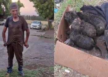 La acción conmovedora de un mendocino: en medio de la tormenta,  se metió a un pozo y rescató a una perra y a sus cachorritos