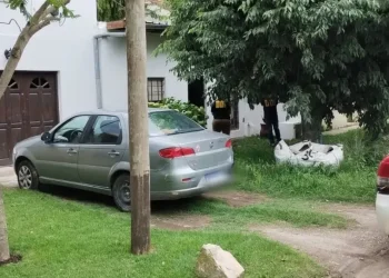 Horror en Mar del Plata: acusan a una mujer de matar a su hija de 8 años discapacitada con éxtasis y alcohol