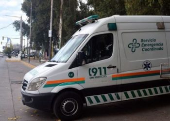 Tragedia en la provincia de Mendoza: un auto embistió a dos caballos en la ruta y murió una mujer