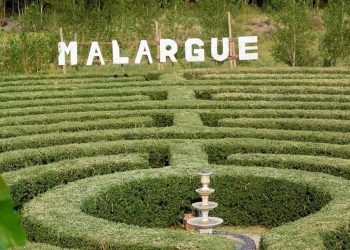 Se quedó sin trabajo y construyó dos laberintos en Malargüe: “Siempre hay una salida, hay que perseverar”