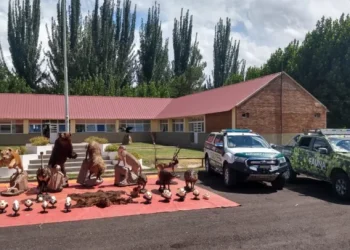 En Mendoza aumentaron un 400 % las multas para quienes cometan ilícitos contra la fauna silvestre