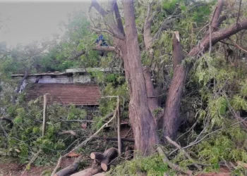Zona Este: Asistieron a casi 1000 familias afectadas por la última tormenta