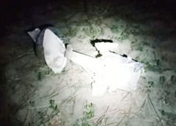 Chaco: cinco delincuentes robaron un avión, lo chocaron y murieron