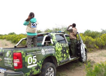 Aumentaron un 400% las multas para quienes  ataquen la fauna silvestre en Mendoza y llegan al millón de pesos