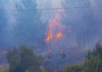 Chubut: Resistencia Ancestral Mapuche se adjudicó el incendio en la localidad de El Hoyo