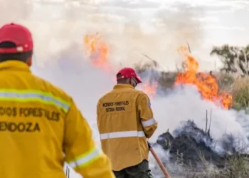 Combaten incendios en más de 15 mil hectáreas en el Sur de Mendoza