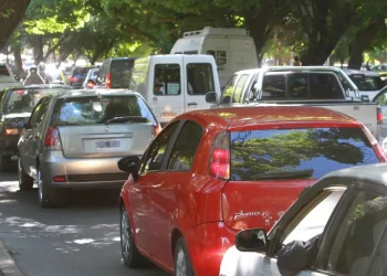 Confirman un cambio clave en la RTO: la oblea se renovará cada dos años