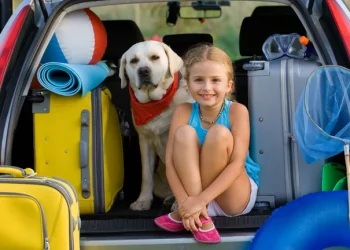 Vacaciones: ¿Cuáles son los requisitos para viajar con mascotas en Argentina?